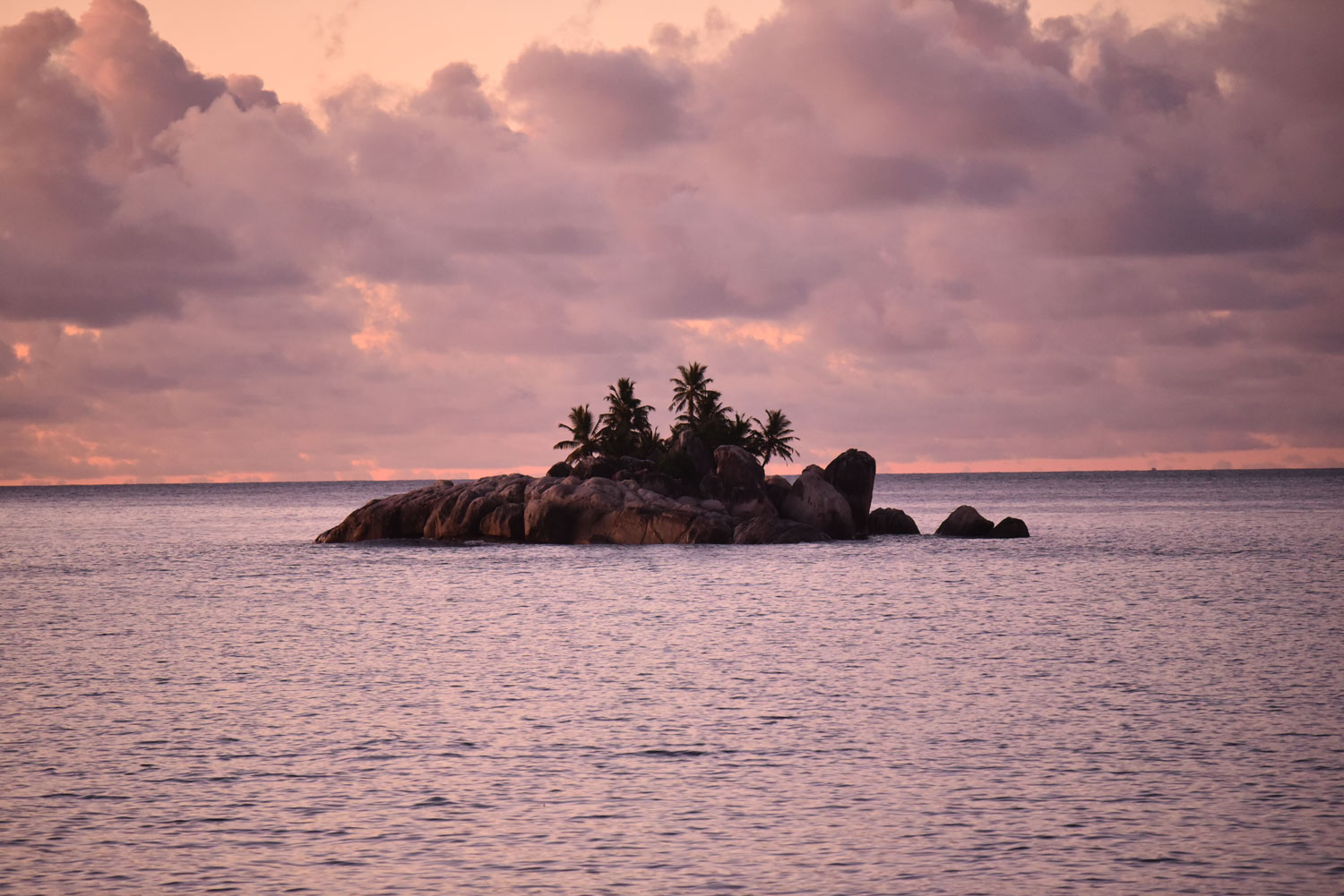 rotary club of victoria coco de mer mahe seychelles