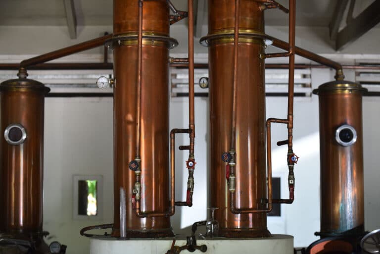 royal armwrestling club seychelles 768x513