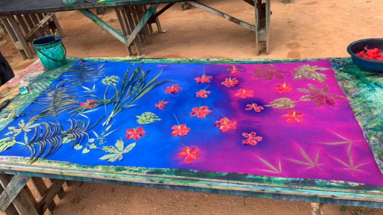 royal travels seychelles 768x431