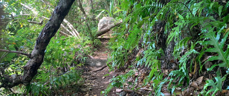 s govindarajan chetty 768x323