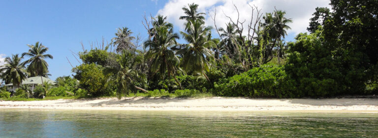 s j seychelles limited 768x280