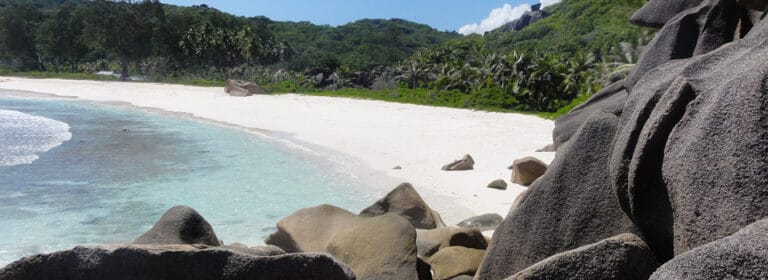 sahaj holiday apartments 768x280