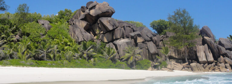 sahajanand builders pty ltd 768x280