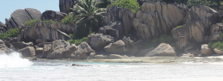 sai fu enterprise company ltd 768x280