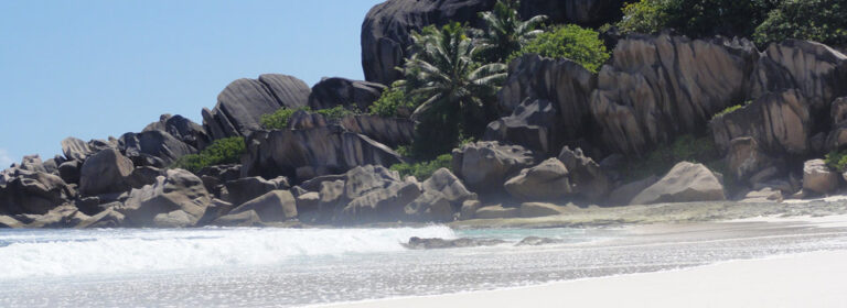 sailfish beach villas 768x280