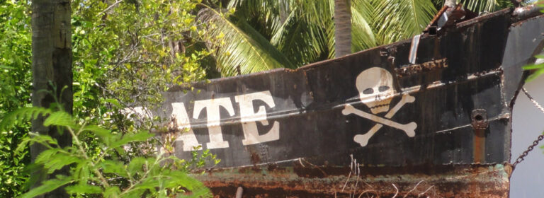Profile saltspray 768x280