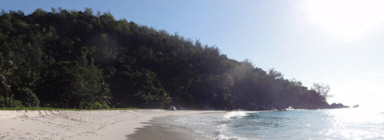 samantha aglae 768x280