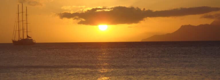 samira saleh brek 768x280