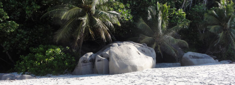 samsung seychelles 768x280