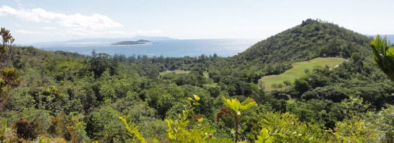 sandy feet seychelles 768x280