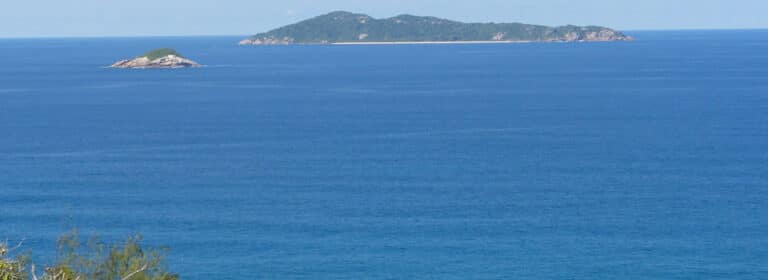 sangeetha pillay 768x280