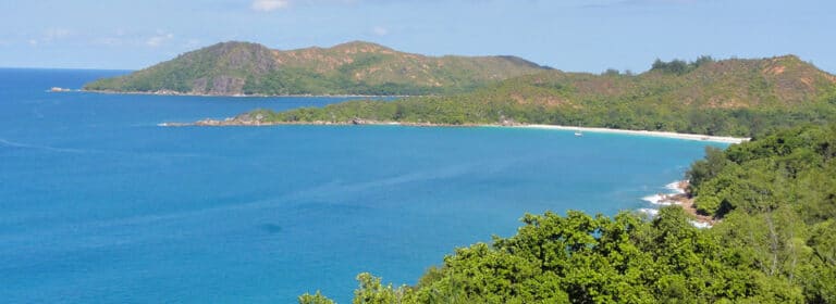 sanjays trading 768x280