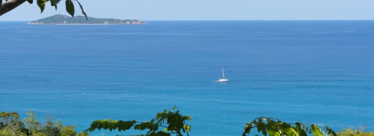 sanju trading 768x280