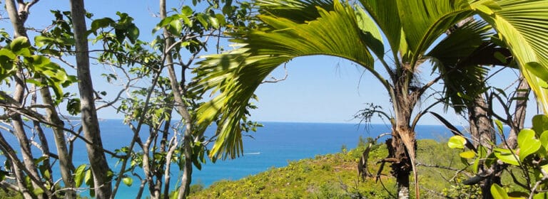 sanken overseas seychelles limited 768x280