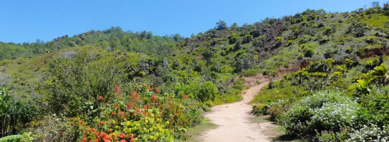 santhi avatharanam 768x280