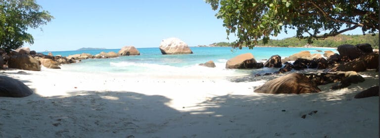 saravanan nallasamy 768x280