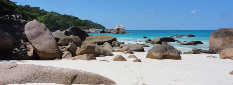 saski properties ltd 768x280