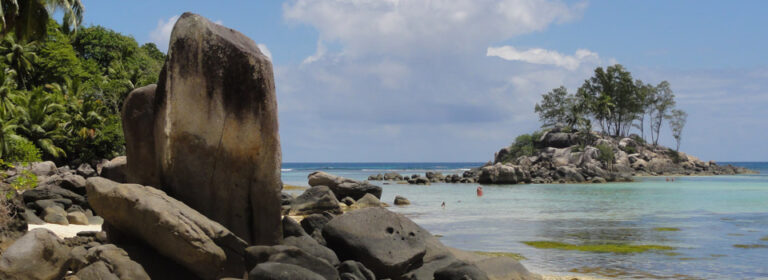 scenic rent a car 768x280