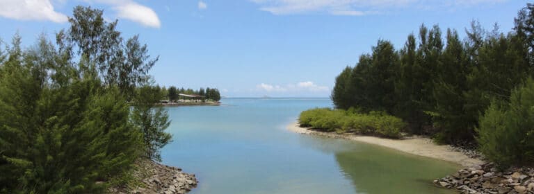 sea view estate pty ltd 768x280