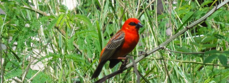 seaview investment sey ltd 768x280