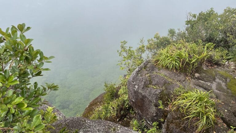 seychelles alzheimers foundation 768x432