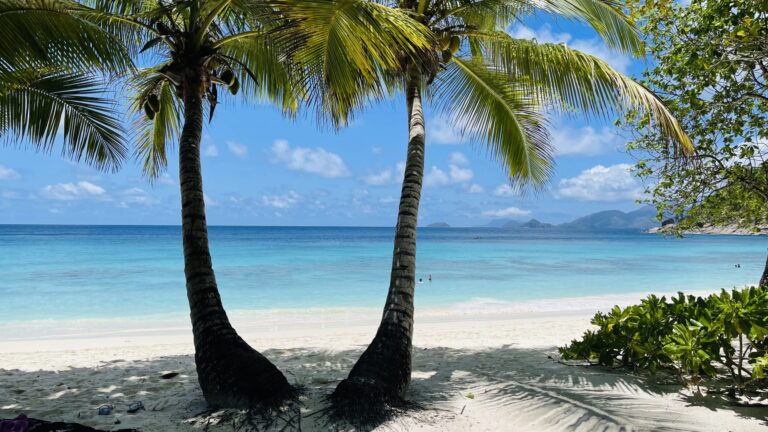 seychelles amateur radio association 768x432