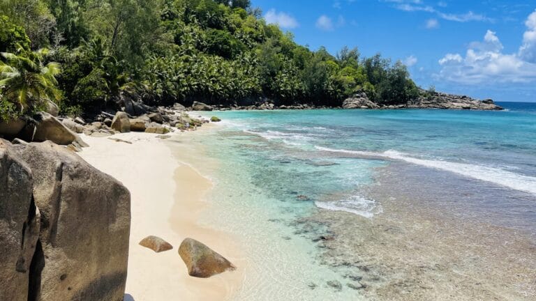 seychelles at heart 768x432