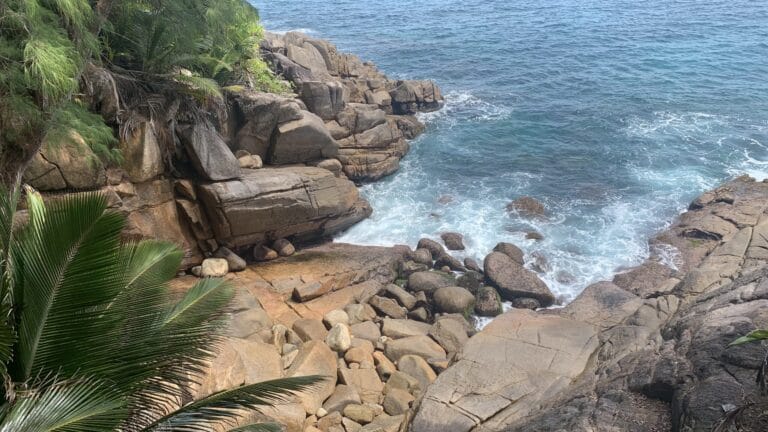 seychelles biomedical science association 768x432