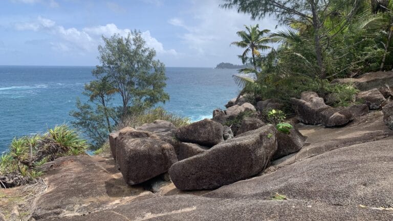 seychelles boxing federation 768x432