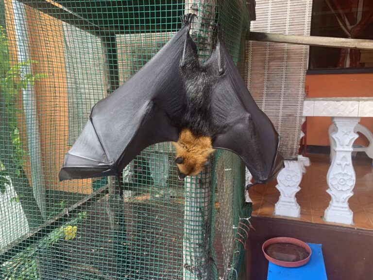 seychelles bureau of standards sbs 768x576