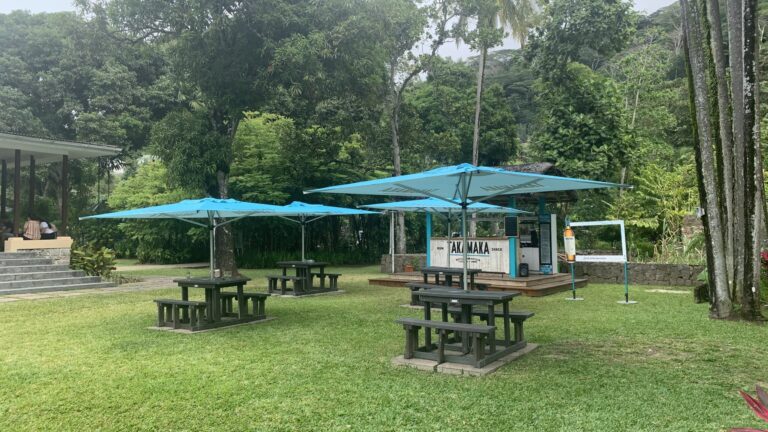 seychelles business studies academy management fund 768x432