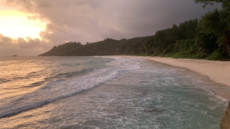 Profile seychelles car hire operators association schoa 768x432