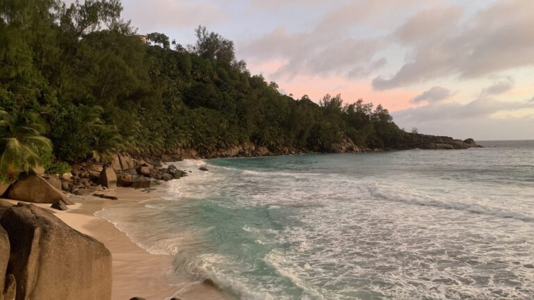 seychelles car portal page 768x432