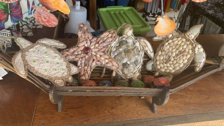 seychelles educational leadership and management association 768x432