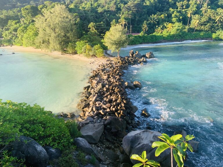 seychelles farmers association 768x576