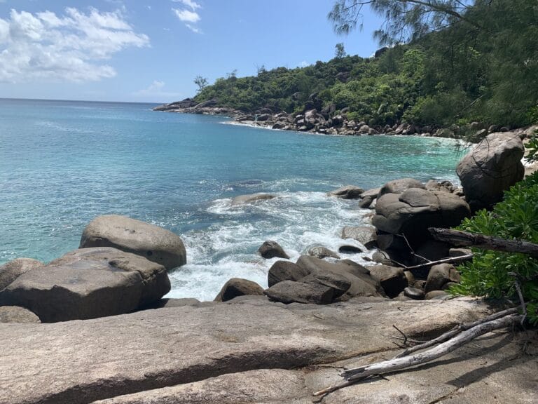 seychelles fashion week 768x576