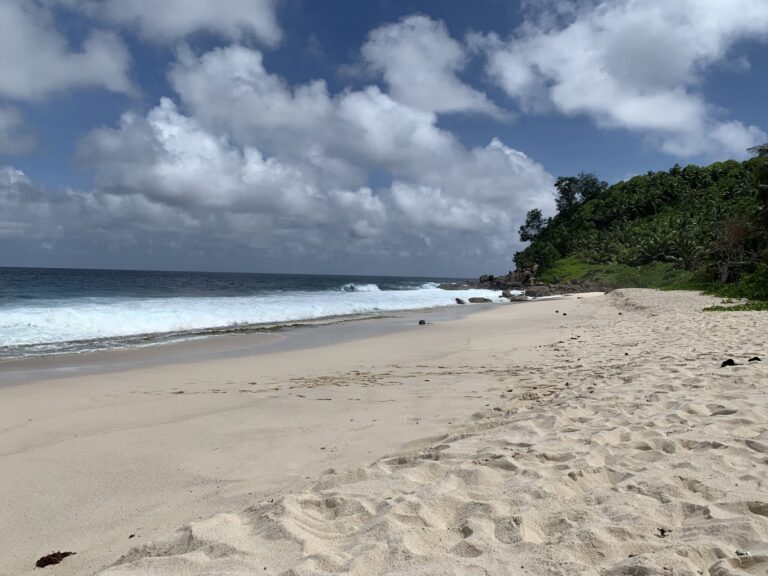 Seychelles Fishing Authority seychelles fishing authority 768x576