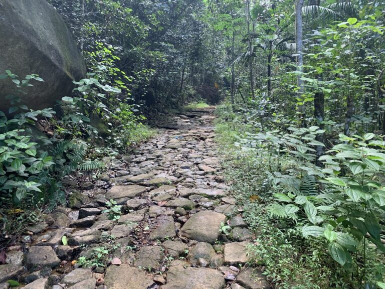 seychelles handball federation 768x576