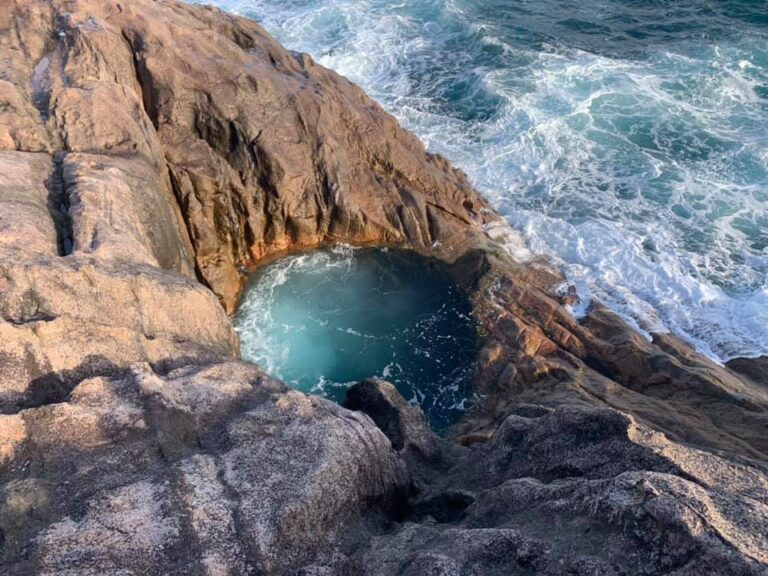 Seychelles Islands Foundation - SIF seychelles islands foundation sif 768x576