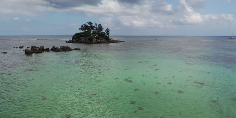 seychelles national choir 768x384