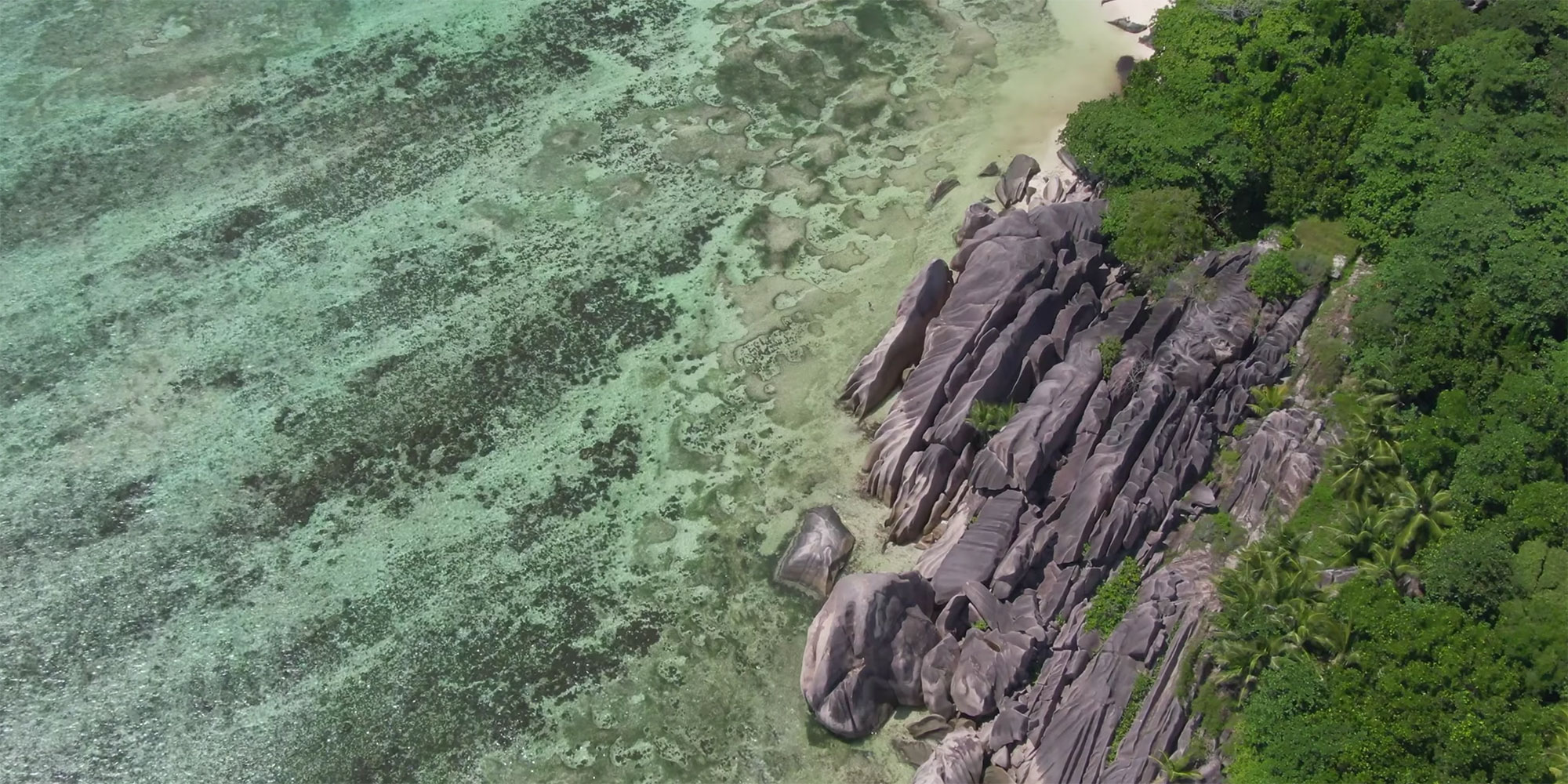 seychelles natural history museum