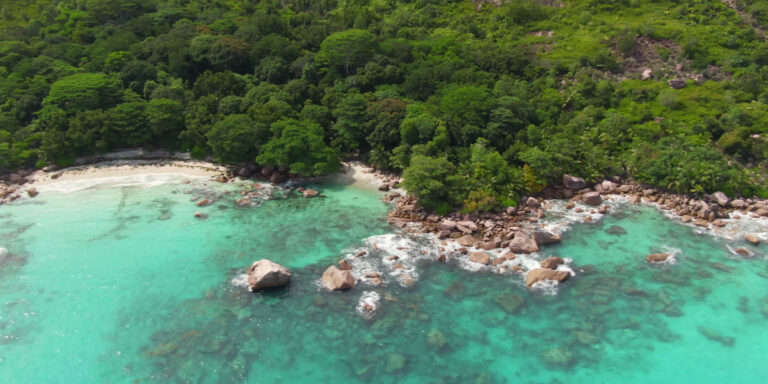 seychelles olympic and commonwealth games association socga 768x384