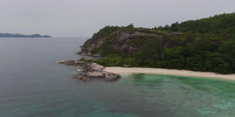 seychelles phone enterprise 768x384