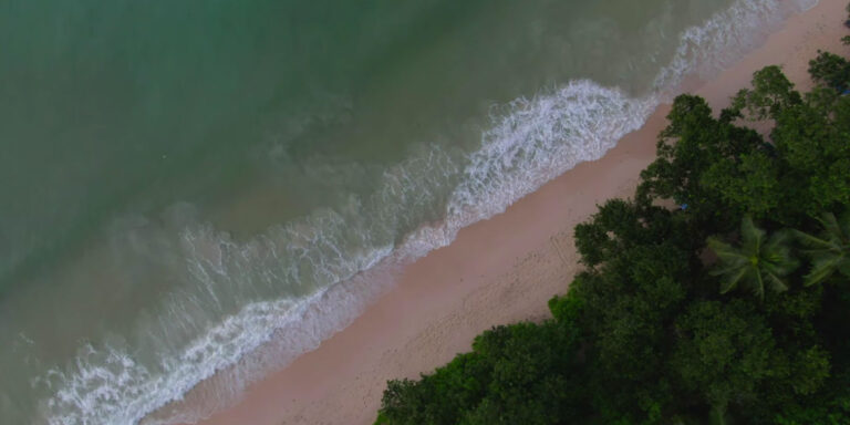 seychelles piano and flute lessons 768x384