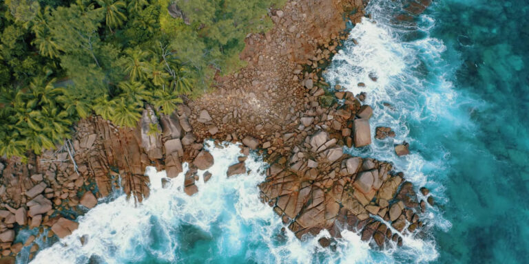 seychelles public transport corpn 768x384