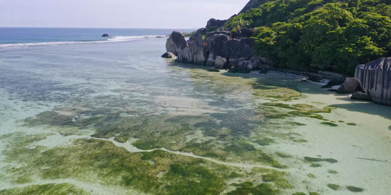 seychelles sea fever boat charters sf marine 768x384