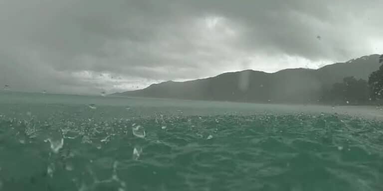 seychelles sports fishing club 768x384