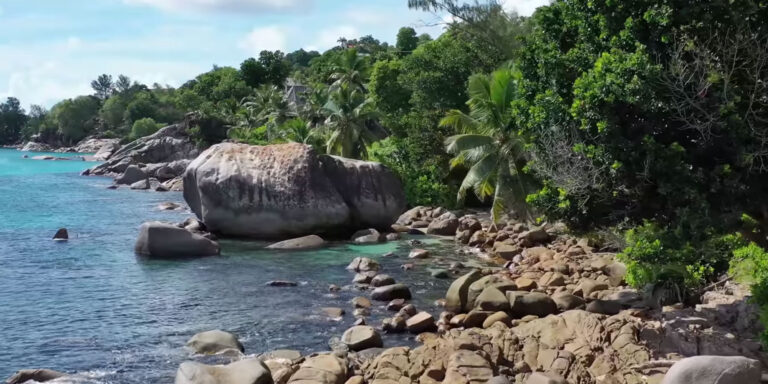 seychelles stroke foundation say stroke 768x384