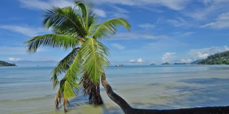 seychelles victoria 768x384