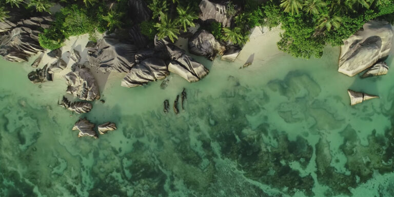 seychelles women and sports association swasa 768x384